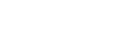 dsl-ic-logo